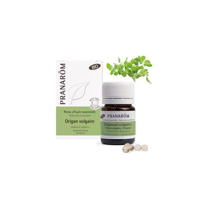 Origan Vulgaire X60 Perles d'Huiles Essentielles Pranarôm Origan Vulgaire X60 Perles d'Huiles Essentielles Pranarôm