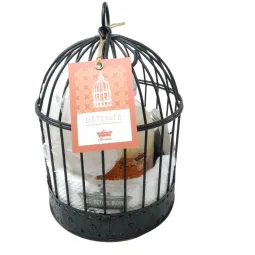 Petits Bains De Provence Cage Détente