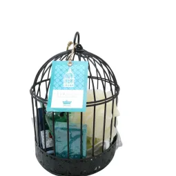 Petits Bains De Provence Cage Evasion