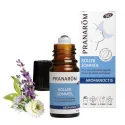 Pranarôm Aromanoctis Roller Sommeil Bio Vegan 5ml Pranarôm Aromanoctis Roller Sommeil Bio Vegan 5ml