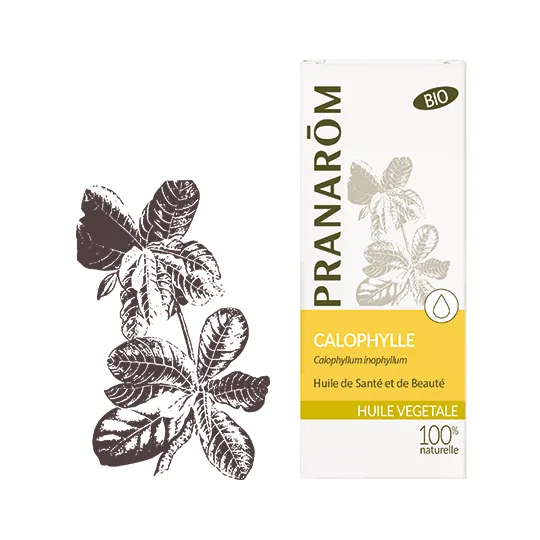 Pranarôm Huile végétale Bio Calophylle 50ml Pranarôm Huile végétale Bio Calophylle 50ml