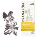 Pranarôm Huile végétale Bio Calophylle 50ml Pranarôm Huile végétale Bio Calophylle 50ml