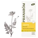Pranarôm Huile Végétale de Carotte Bio 50ml