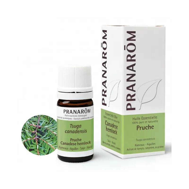 Pruche Huile Essentielle de Pranarôm 5ml Pruche Huile Essentielle de Pranarôm 5ml