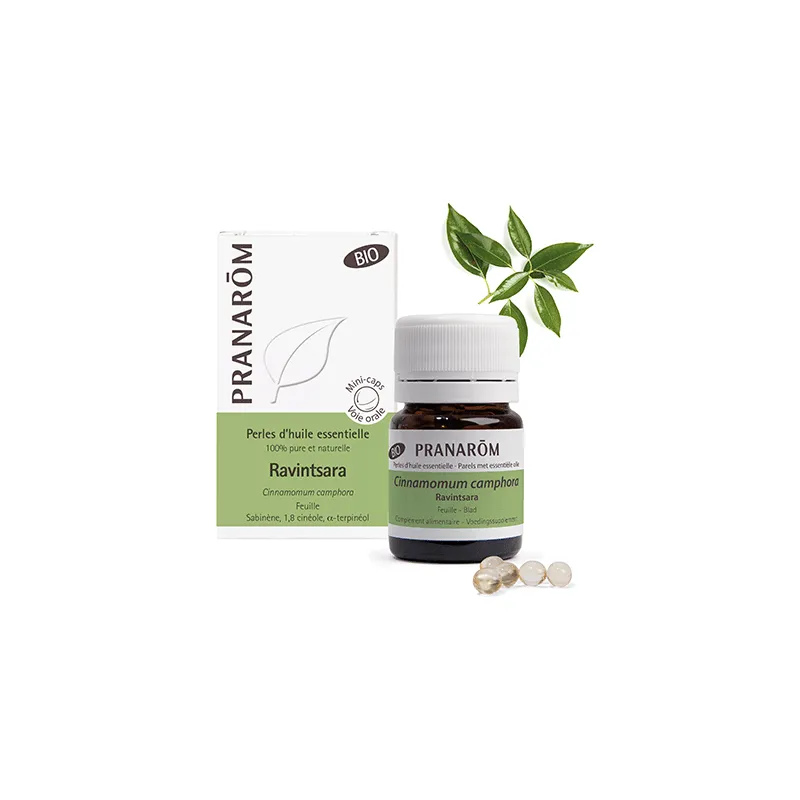Ravinstara Bio x60 Perles d'Huile Essentielle Pranarôm Ravinstara Bio x60 Perles d'Huile Essentielle Pranarôm