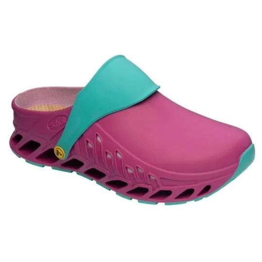 Scholl Sabot Professionnel Evoflex Fuchsia / Emeraude T 41 Scholl Sabot Professionnel Evoflex Fuchsia / Emeraude T 41
