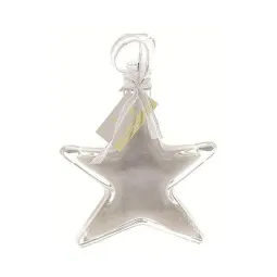 Tentation Etoile Argent Nacré 200ml