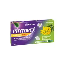 Upsa Phytovex Maux De Gorge Intenses Sans Sucre 20 Pastilles Goût Menthe
