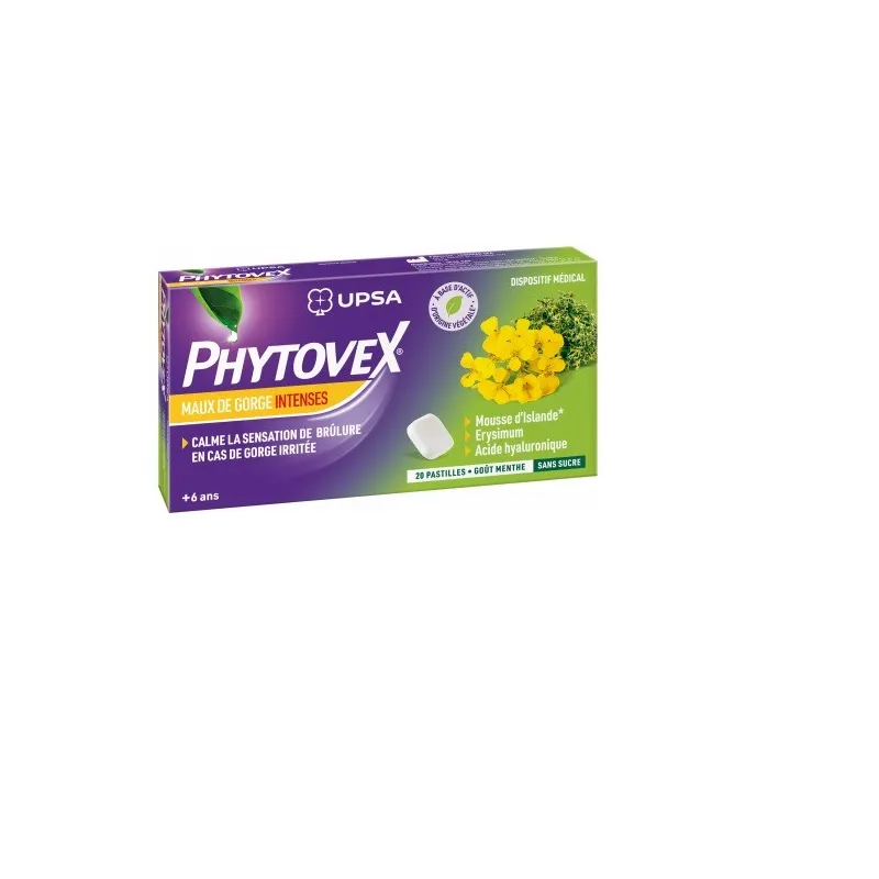 Upsa Phytovex Maux De Gorge Intenses Sans Sucre 20 Pastilles Goût Menthe Upsa Phytovex Maux De Gorge Intenses Sans Sucre 20 Pastilles Goût Menthe
