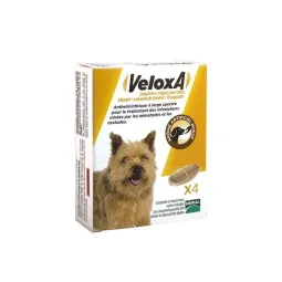 Veloxa 4 comprimés Vermifuge Chien de moins de 17.5kg
