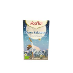 Yogi Tea Infusion Moon Salutation Infusion Bio 17 Sachets