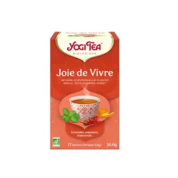 Yogi Tea Joie de Vivre Infusion Ayruvédique Bio Vegan 17 Sachets