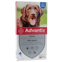 Advantix grand chien de plus de 25kg 4 pipettes