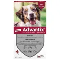 Advantix chien moyen de 10 kg à 25kg 4 pipettes Advantix chien moyen de 10 kg à 25kg 4 pipettes