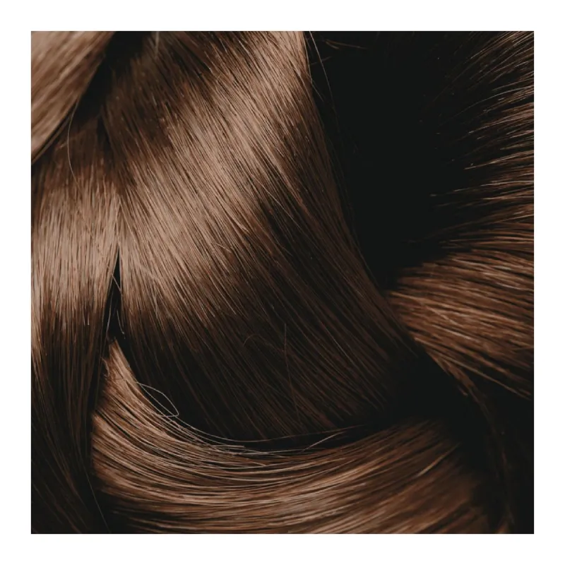 Phytosolba PhytocolorBox 6.7 Blond Foncé Marron