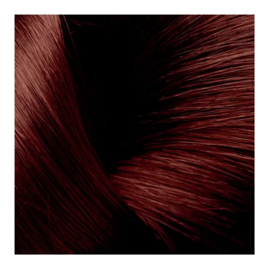 Phytosolba PhytocolorBox 7.74 Blond Marron Cuivré Phytosolba PhytocolorBox 7.74 Blond Marron Cuivré