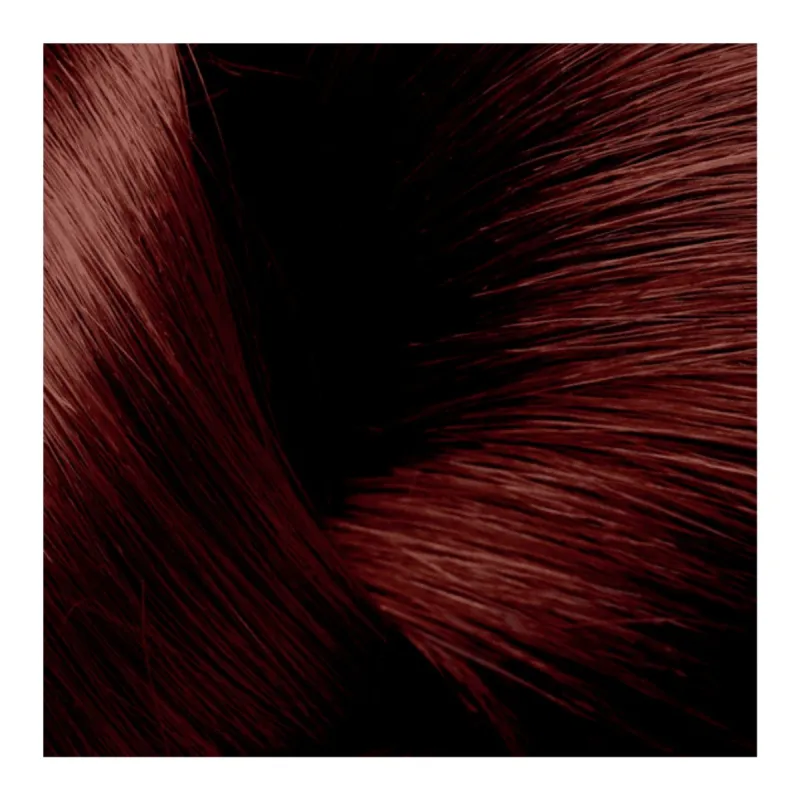 Phytosolba PhytocolorBox 7.74 Blond Marron Cuivré Phytosolba PhytocolorBox 7.74 Blond Marron Cuivré