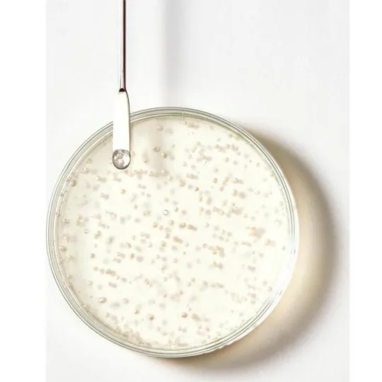 Furterer Triphasic Shampoing 200ml + 25% OFFERT Furterer Triphasic Shampoing 200ml + 25% OFFERT