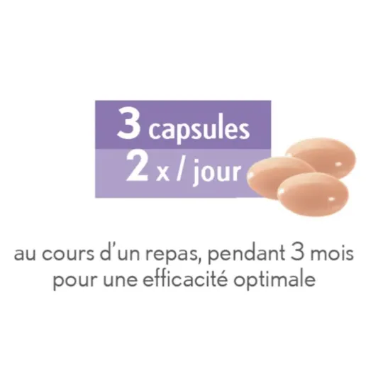 Oenobiol Ventre Plat Femme 60 capsules x2 Oenobiol Ventre Plat Femme 60 capsules x2