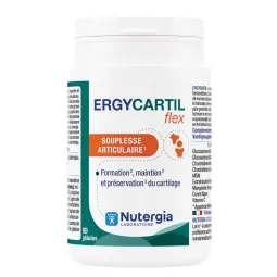 Nutergia Ergycartil Flex 90 gélules