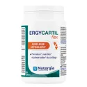 Nutergia Ergycartil Flex 90 gélules Nutergia Ergycartil Flex 90 gélules