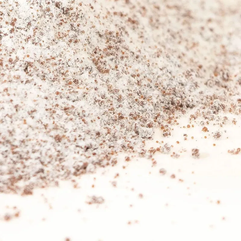 Saève Immortalis Chaga Collagène Marin & Chaga Vitamine C 174g