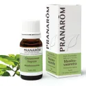 Pranarôm Mandravasarota 10ml Huile Essentielle