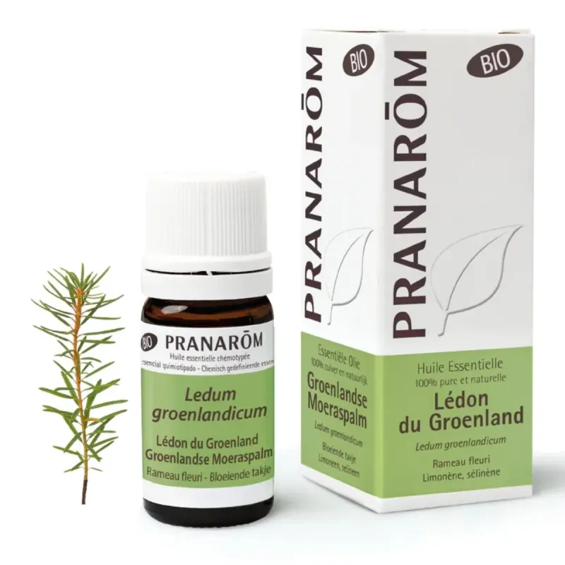 Pranarôm Huile Essentielle de Lédon du Goenland Bio 5ml Pranarôm Huile Essentielle de Lédon du Goenland Bio 5ml