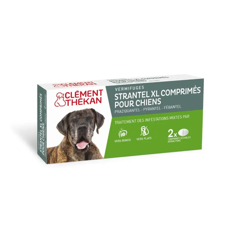 Clément Thékan Strantel XL Vermifuge Chien Goût Viande 2 comprimés