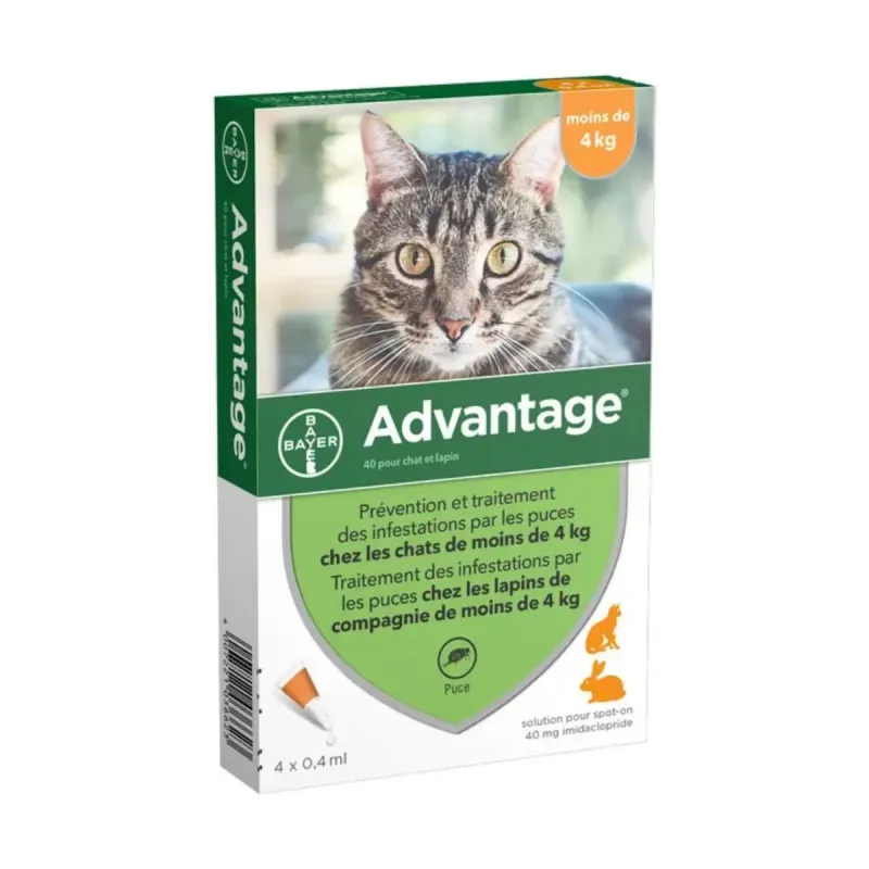 Advantage Chat moins de 4kg 4 Pipettes Advantage Chat moins de 4kg 4 Pipettes