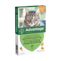 Advantage Chat moins de 4kg 4 Pipettes Advantage Chat moins de 4kg 4 Pipettes
