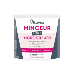 Vitavea Minceur 4 en 1 Morosil 400