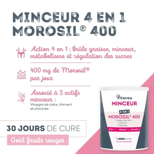Vitavea Minceur 4 en 1 Morosil 400 Vitavea Minceur 4 en 1 Morosil 400