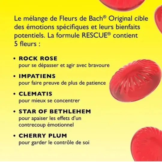 Fleur de Bach Original Rescue Kids Pastilles Fraise Fleur de Bach Original Rescue Kids Pastilles Fraise