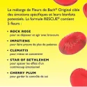 Fleur de Bach Original Rescue Kids Pastilles Fraise Fleur de Bach Original Rescue Kids Pastilles Fraise