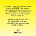 Fleur de Bach Original Rescue Kids Pastilles Fraise Fleur de Bach Original Rescue Kids Pastilles Fraise