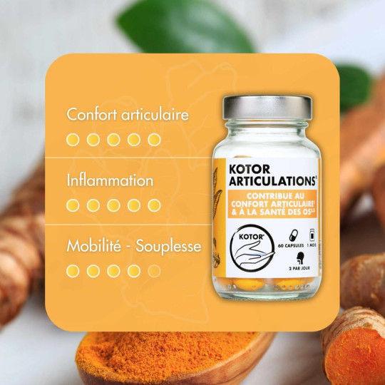 Kotor Articulations Confort Articulaire Kotor Articulations Confort Articulaire