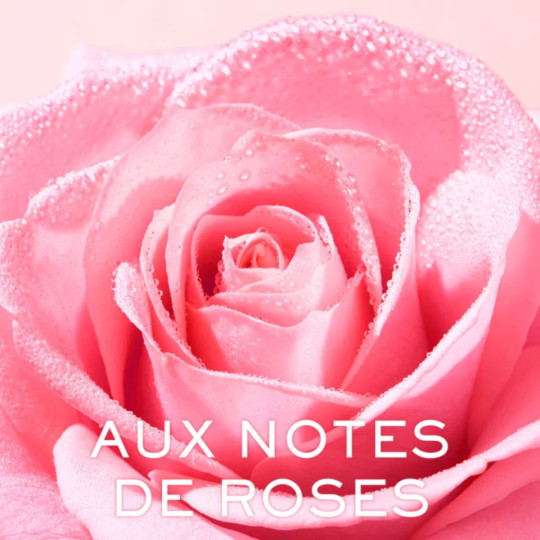 Nuxe Very Rose Lait Démaquillant Onctueux Nuxe Very Rose Lait Démaquillant Onctueux