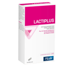Pileje Lactiplus Syndrome Intestin Irritable