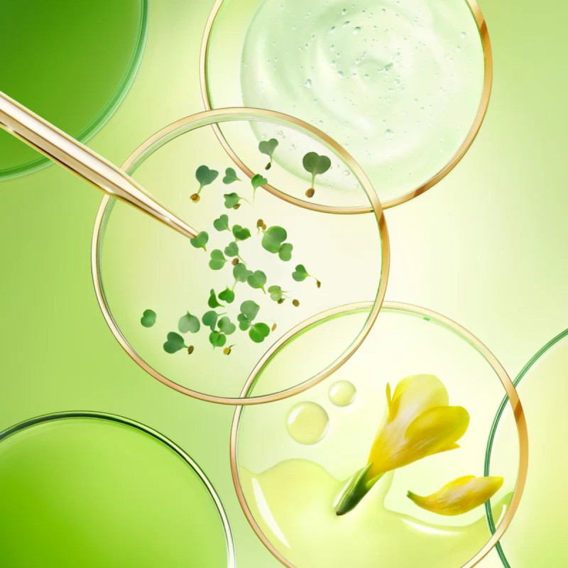 Nuxe Nuxuriance Ultra Crème Riche Nuxe Nuxuriance Ultra Crème Riche