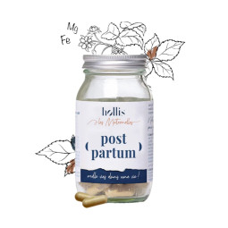 Hollis Les Maternelles Post Partum