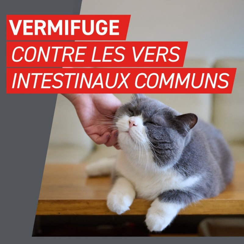 FrontControl Wormer Vernifuge Chats FrontControl Wormer Vernifuge Chats