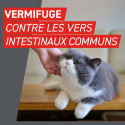 FrontControl Wormer Vernifuge Chats FrontControl Wormer Vernifuge Chats