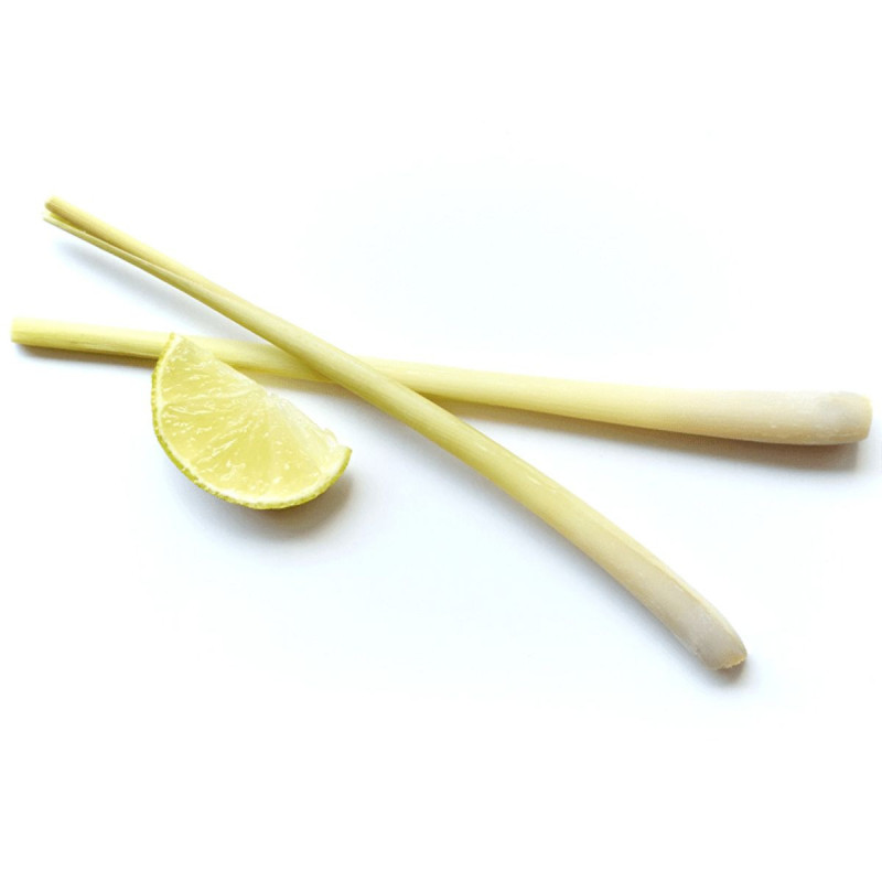 Tiki Monoï Tahiti Anti-moustiques Citronnelle Tiki Monoï Tahiti Anti-moustiques Citronnelle