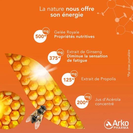 Arkopharma Arkoroyal Dynergie Bio Dynamisant et Stimulant
