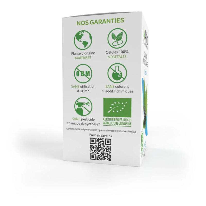 Arkopharma Arkogélules Cassis Bio 45 gélules Arkopharma Arkogélules Cassis Bio 45 gélules