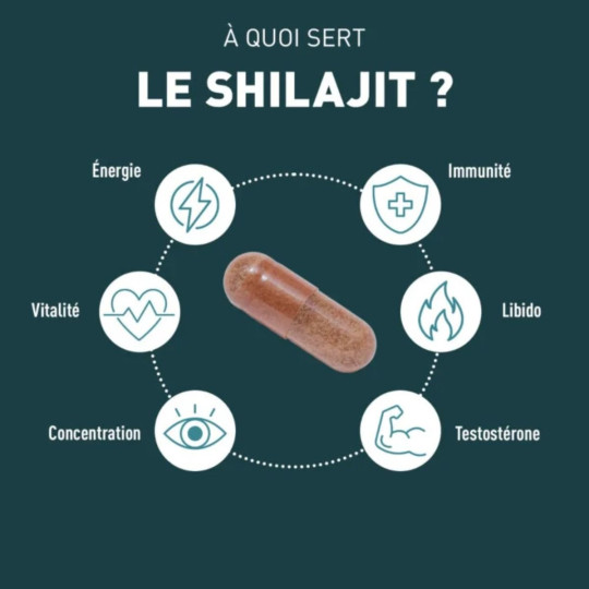 Granions Shilajit 1000mg Energie Immunité