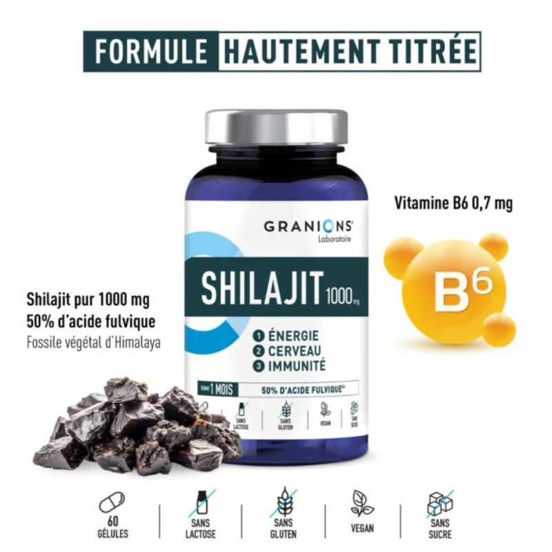 Granions Shilajit 1000mg Energie Immunité
