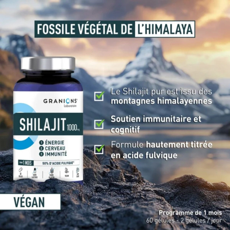 Granions Shilajit 1000mg Energie Immunité