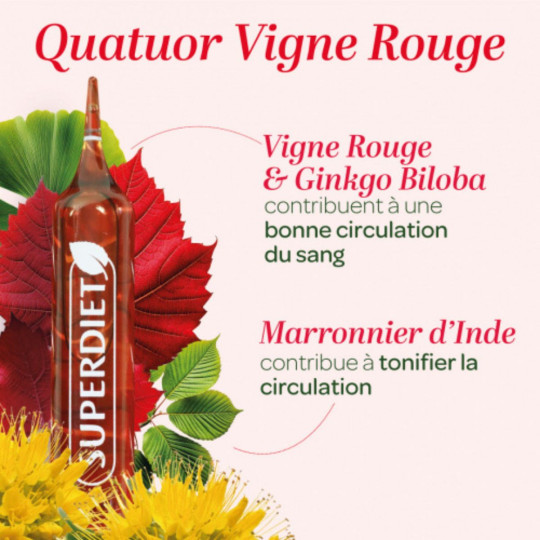 SuperDiet Quatuor Circulation Bio 20 ampoules + 50% OFFERT